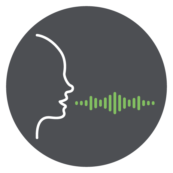 Digi ConnectCore语音控制